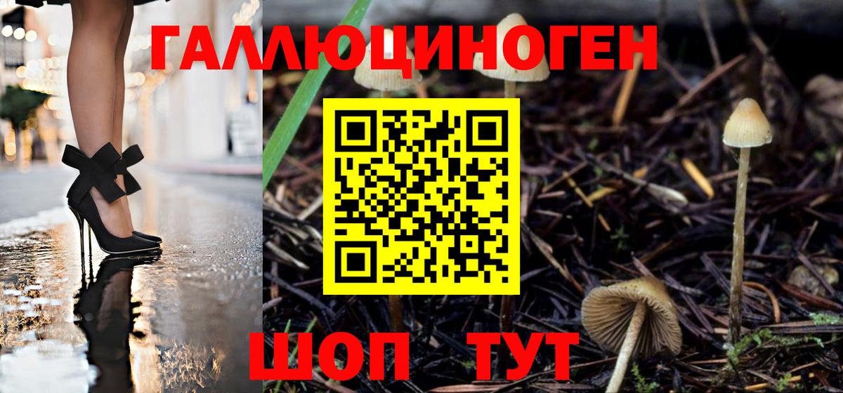 купить закладку  Галлюциногенные грибы Magic Shrooms  Псилоцибиновые грибы Cubensis  Вход с VPN  Алапаевск 