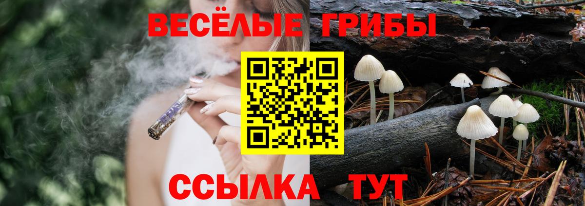 Галлюциногенные грибы Psilocybe Алапаевск